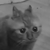 Секс знакомства в г Санкт-Петербург