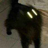 Секс знакомства в г Санкт-Петербург