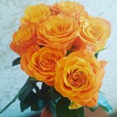 Секс знакомства в г Санкт-Петербург