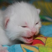 Секс знакомства в г Набережные Челны