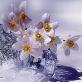 Секс знакомства в г Воронеж