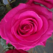 Секс знакомства в г Санкт-Петербург