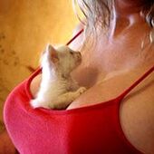 секс знакомства в г Москва