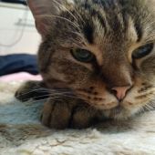 Секс знакомства в г Москва