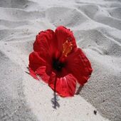 Секс знакомства в г Тольятти