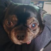 секс знакомства в г Ярославль