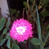 Секс знакомства в г Саратов