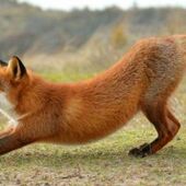 Секс знакомства в г Днепр