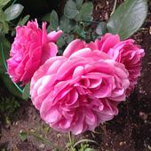 Секс знакомства в г Москва