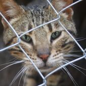 Секс знакомства в г Ивано-Франковск