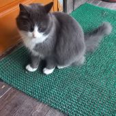 Секс знакомства в г Санкт-Петербург