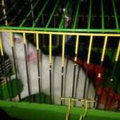 Секс знакомства в г Москва