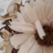 Секс знакомства в г Москва