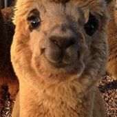 Секс знакомства в г Санкт-Петербург