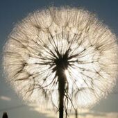 Секс знакомства в г Москва