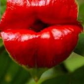 Секс знакомства в г Москва