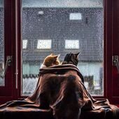 Секс знакомства в г Санкт-Петербург