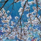 Секс знакомства в г Краснодар