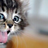 Секс знакомства в г Казань