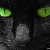 Секс знакомства в г Краснодар