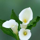 Секс знакомства в г Москва