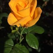 Секс знакомства в г Днепр