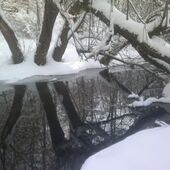 Секс знакомства в г Киев