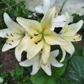 Секс знакомства в г Минск