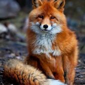 Секс знакомства в г Воронеж