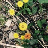 Секс знакомства в г Казань