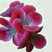 Секс знакомства в г Москва