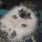 Секс знакомства в г Саратов