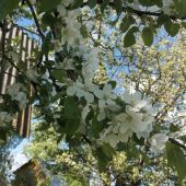 Секс знакомства в г Москва