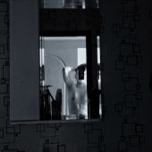 Александр 23, Киров секс знакомства в г Киров