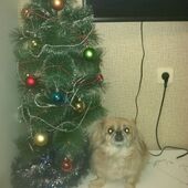 Секс знакомства в г Ярославль