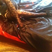 СофьяСергей 50, Москва секс знакомства в г Москва