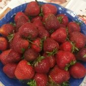 Секс знакомства в г Санкт-Петербург