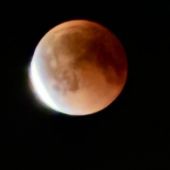 Екатерина 35, Санкт-Петербург секс знакомства в г Санкт-Петербург