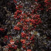 Александр 34, Москва секс знакомства в г Москва