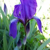 Секс знакомства в г Санкт-Петербург