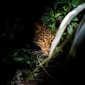 Секс знакомства в г Саратов