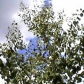 Секс знакомства в г Киев