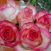 Секс знакомства в г Липецк