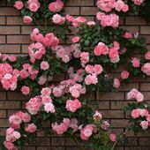 Секс знакомства в г Москва