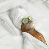 Секс знакомства в г Херсон