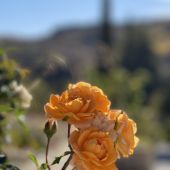 Секс знакомства в г Тольятти