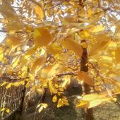 Секс знакомства в г Днепр