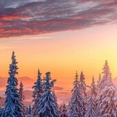 Секс знакомства в г Саратов