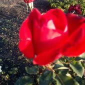 Секс знакомства в г Днепр