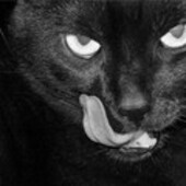 Секс знакомства в г Кемерово